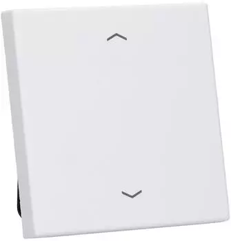 Jung LS990PWWM Wippe f. Taster BA 1fach (Duroplast) Schneewei&szlig; Matt Serie LS