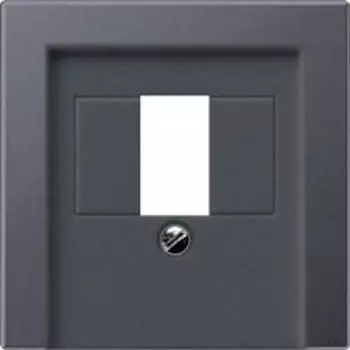 Jung a569bfpltanm Platte für Steckdosen Lautsprecher Stereo monofasico anthrazit matt