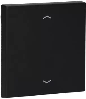 Jung LS990PSWM Wippe f. Taster BA 1fach (Duroplast) Graphitschwarz Matt Serie LS
