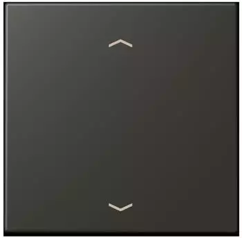 Jung Wippe 1-fach mit Pfeilsymbol (LC990P259)