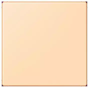 Jung LC 994 B223 Blind-Abdeckung (gerastet) Serie LS Thermoplast lackiert ocre (LC994B223)