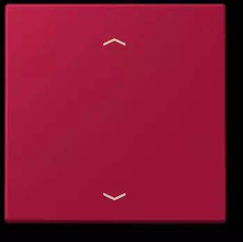 Jung Wippe 1-fach mit Pfeilsymbol (LC990P229)