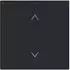 Busch-Jaeger Busch-art linear Wippe 1-fach Jalousie-Symbol schwarz matt (2CKA006220A0996)