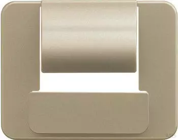 Busch-Jaeger Zentralscheibe PowerDock USB palladium (2CKA006400A0071)