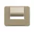Busch-Jaeger Zentralscheibe PowerDock USB palladium (2CKA006400A0071)