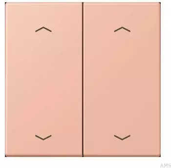 Jung Wippe mit Pfeilsymbolen f&uuml;r KNX Taster 2 (LC102P231)