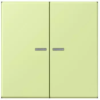 Jung Wippe 2-fach mit Lichtleiter (LC995KO5222)