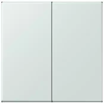 Jung Wippe 2-fach Duroplast lackiert c&eacute;rul&eacute;en p&acirc;le (LC995215)