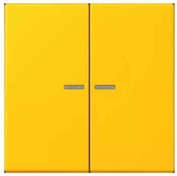 Jung Wippe 2-fach mit Lichtleiter (LC995KO5263)