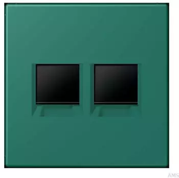 Jung LC1969-2WE216 Abdeckung (gerastet) Modular-Jack 2-fach CAT6A (LC1969-2WE216)