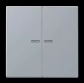 Jung LC 995 KO5 257 Wippe 2-fach mit Lichtleiter (LC995KO5257)