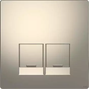 Merten Zentralplatte f&uuml;r Connector 2-fach, Nickelmetallic, System Design (MEG4572-6050)