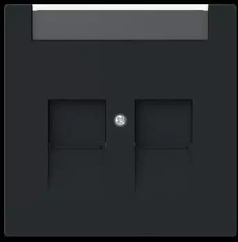 Busch-Jaeger 1800-45M Modular-Jack-Abdeckung 2-fach, schwarz matt (2CKA001710A4238)