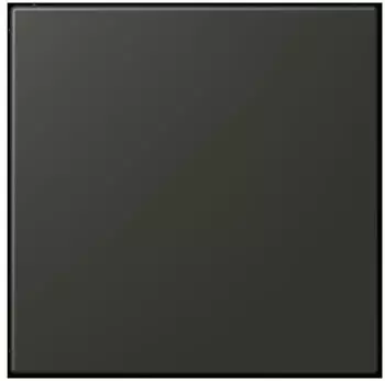 Jung LC 994 B259 Blind-Abdeckung (gerastet), Thermoplast lackiert, ombre naturelle (LC994B259)