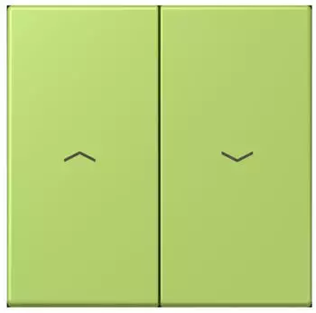 Jung Wippe 2-fach mit Pfeilsymbolen LC320 Vert Clair (LC995P221)