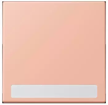 Jung Wippe 1-fach mit Schriftfeld (LC990NA231)