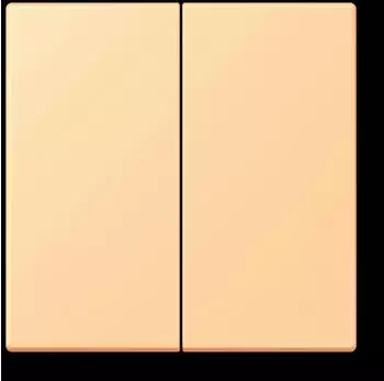 Jung Wippe 2-fach Duroplast lackiert Terre Sienne Claire 59 (LC995258)