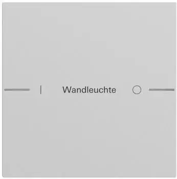 Gira Wippenset 1-fach Tastsensor 4.70 Grau lackiert (576176)