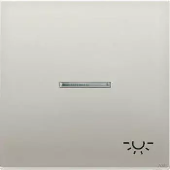 Jung Wippe System LICHT Messing/antik (ME2990KO5LAT)