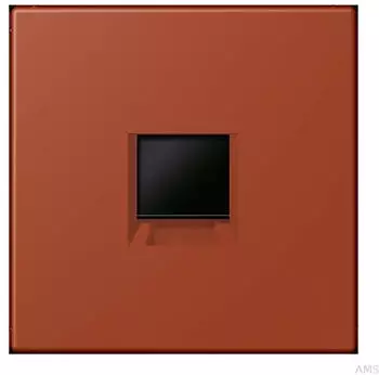 Jung Abdeckung (gerastet) Modular-Jack-Steckbuchsen 1-fach CAT6A (LC1969-1WE232)