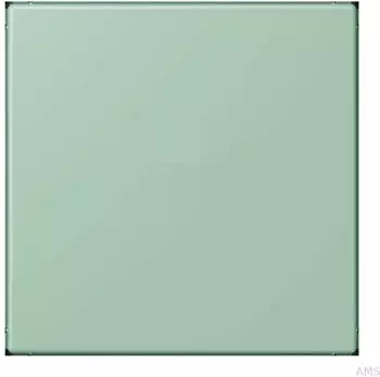 Jung Abdeckung f&uuml;r USB-Ladeger&auml;t vert anglais clair (LC1969USB217)