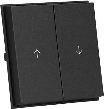 Gira TX_44 Wippe 2-fach mit Pfeilsymbolen IP44 Anthrazit (329467)