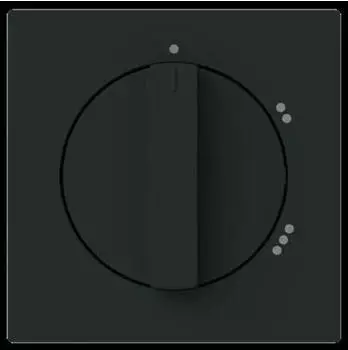 Busch-Jaeger 2542 DR/02-45M Zentralscheibe mit Drehgriff, mit Aufdruck (2CKA001710A4156)