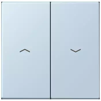 Jung LC 995 P 208 Wippe 2-fach mit Pfeilsymbol (LC995P208)