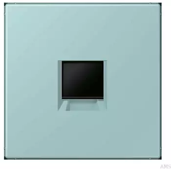 Jung Abdeckung (gerastet) Modular-Jack 1-fach UMA-CAT6A (LC1969-1WE214)