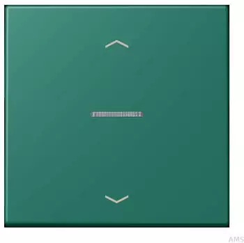 Jung LC 101 KO5P Wippe mit Lichtleiter, vert anglais (LC101KO5P216)