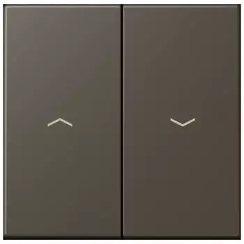 Jung LC 995 P Wippe 2-fach mit Pfeilsymbol (LC995P241)