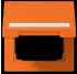 Jung LS 990 Klappdeckel mit Schriftfeld, Thermoplast, Orange (LS990BFNAKLO)