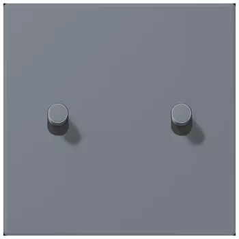 Jung Abdeckung 1-fach mit 2 Kipphebeln (LC12-5R0251)