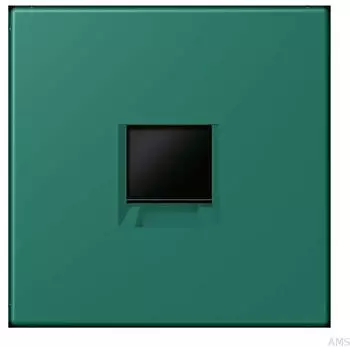Jung Abdeckung (gerastet) Modular-Jack 1-fach UMA-CAT6A (LC1969-1WE216)