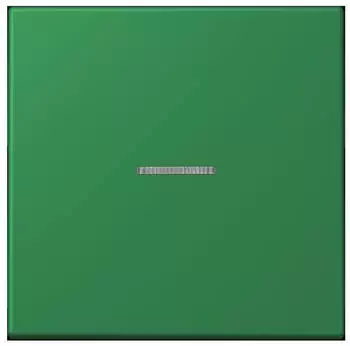 Jung LC 990 KO5 219 Wippe 1-fach mit Lichtleiter (LC990KO5219)