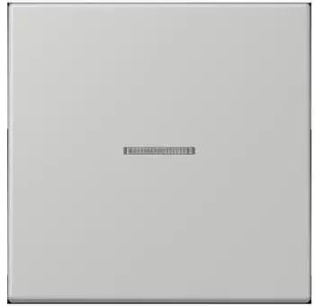 Jung Wippe 1-fach mit Lichtleiter (LC990KO5205)