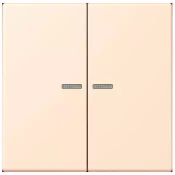 Jung Wippe 2-fach mit Lichtleiter (LC995KO5238)