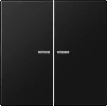 Jung LS995KO5SWM Wippe 2-fach mit Lichtleiter, Serie LS, graphitschwarz matt (LS995KO5SWM)
