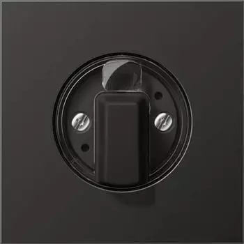 Jung Abdeckung f&uuml;r Drehschalter Aluminium Anthrazit (AL1941AN)