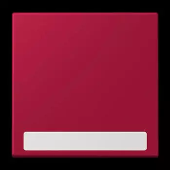 Jung Wippe 1-fach mit Schriftfeld (LC990NA229)