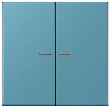 Jung LC 995 KO5 212 Wippe 2-fach mit Lichtleiter f&uuml;r Serienschalter (LC995KO5212)