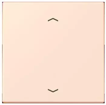 Jung Wippe 1-fach mit Pfeilsymbol (LC990P226)