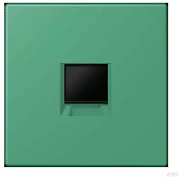 Jung Abdeckung (gerastet) Modular-Jack 1-fach UMA-CAT6A (LC1969-1WE250)