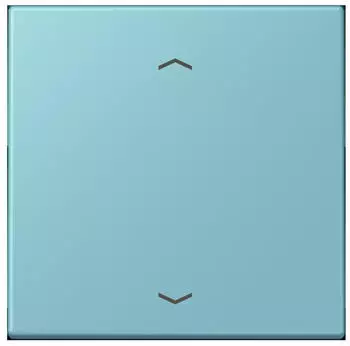 Jung LC 990 P 213 Wippe 1-fach mit Pfeilsymbol (LC990P213)