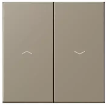 Jung LC 995 P 242 Wippe 2-fach mit Pfeilsymbol (LC995P242)