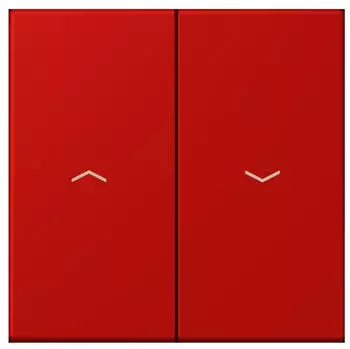 Jung LC 995 P 227 Wippe 2-fach mit Pfeilsymbol (LC995P227)
