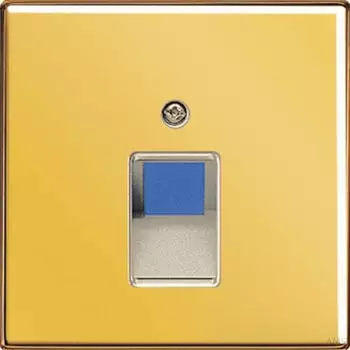 Jung LS 969-1 UA GGO Netzwerkabdeckung 1-fach IAE/UAE vergoldet (LS969-1UAGGO)