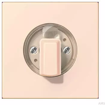 Jung Abdeckung f&uuml;r Drehschalter orange pale (LC1941226)