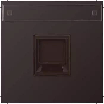 Jung Abdeckung (gerastet) 1-fach f&uuml;r Modular-Jack-Steckbuchsen (AL1969-15NAWED)