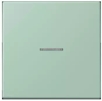 Jung Wippe 1-fach mit Lichtleiter (LC990KO5217)